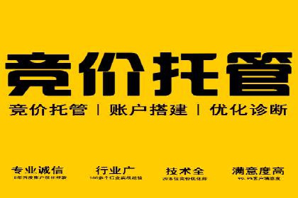 SEM专员案例：优化广告转化率